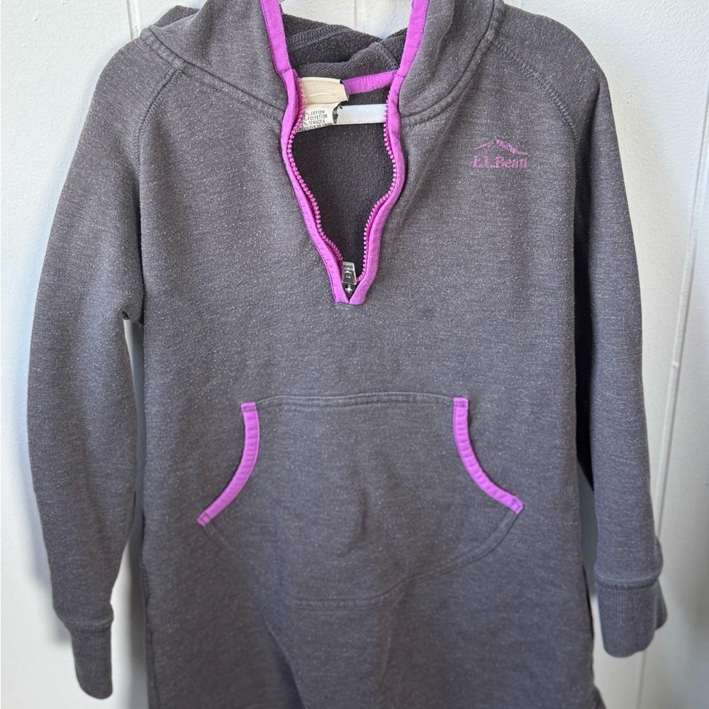 L.L. Bean Gray and Pink Kids Casual Dress
